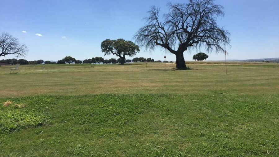 Galisteo Golf Municipal: Practice area