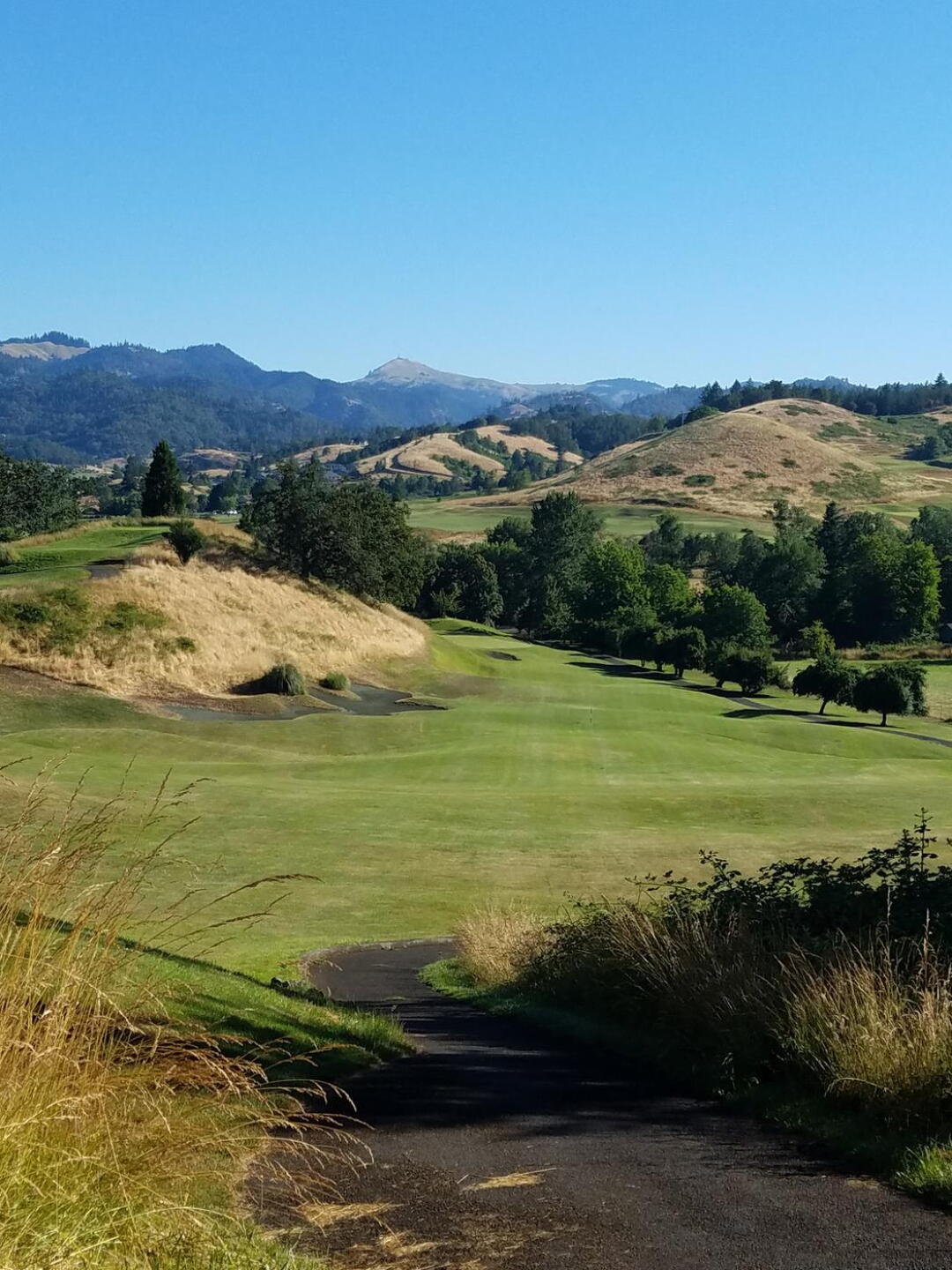 7th tee looking down at 7th fairway (Photo submitted by Titaniumhen on 07/22/2017)