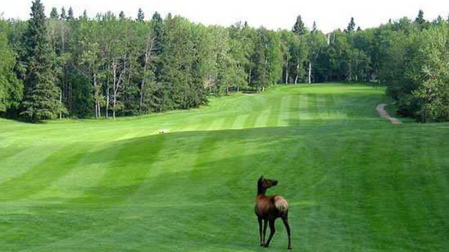 Waskesiu GC