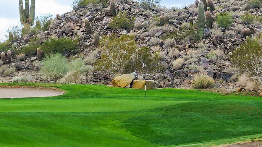 The Golf Club at Johnson Ranch