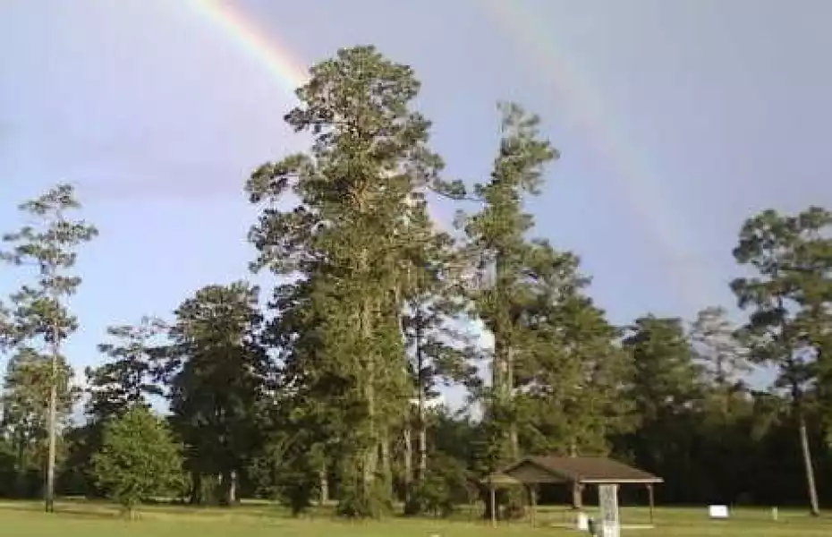 Pine Shadows Golf Center