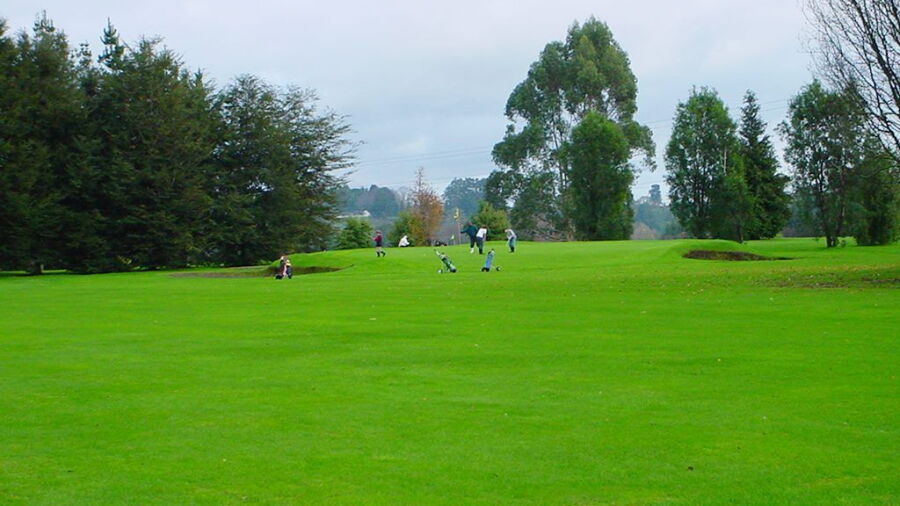 Osorno GC