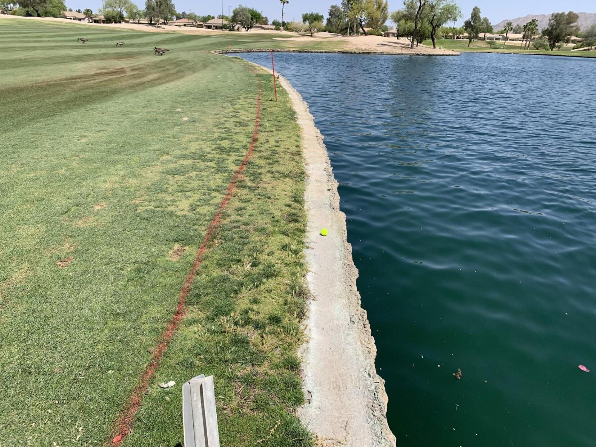 (Photo submitted by rawbender on 05/02/2022)