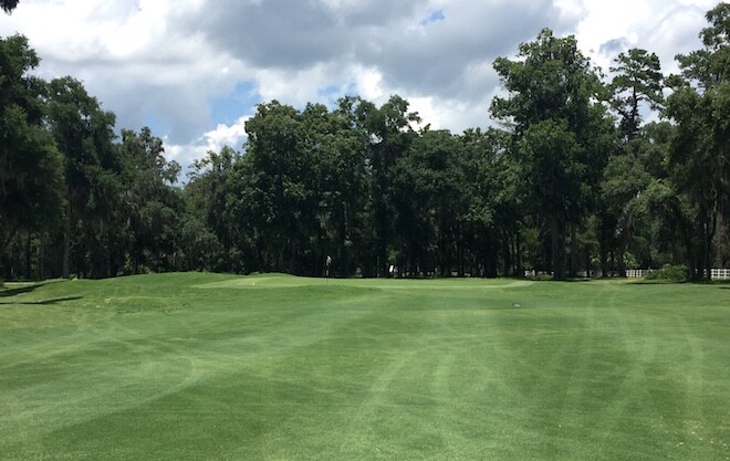 The opening green at Sapelo Hammock may not look like much, but the little mound in front can mess with a player's depth perception and/or kick a potentially decent shot away from safety.