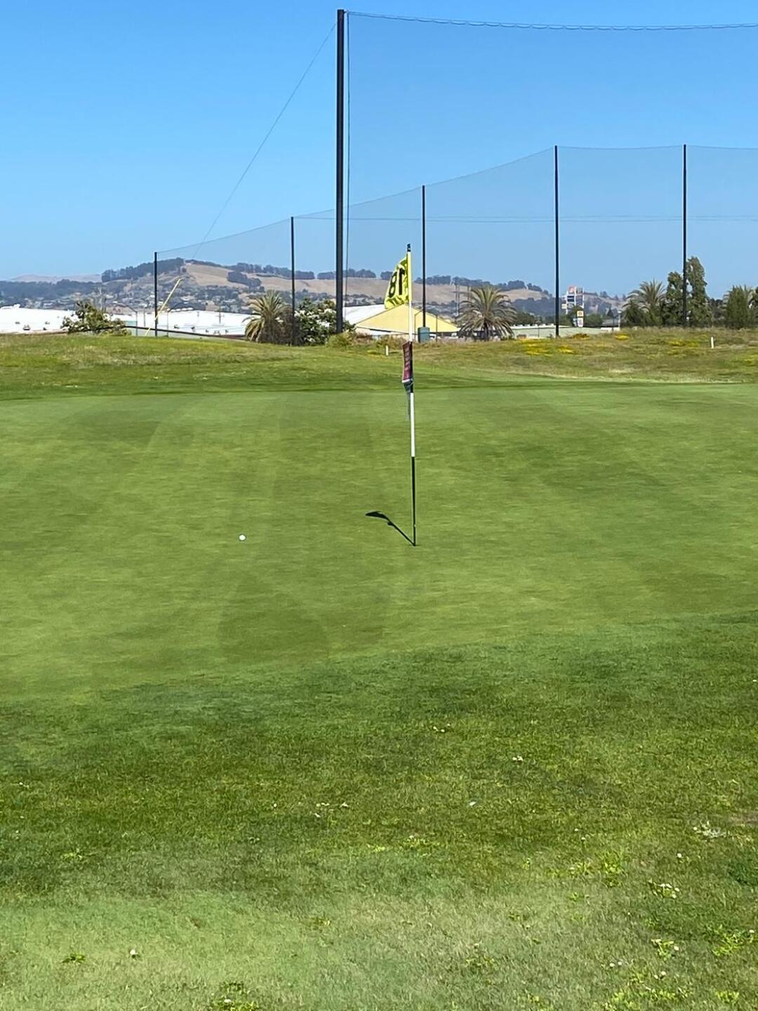 (Photo submitted by tigerj18 on 07/05/2020)