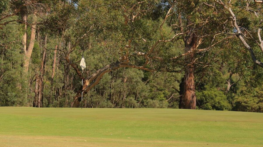Drouin GC
