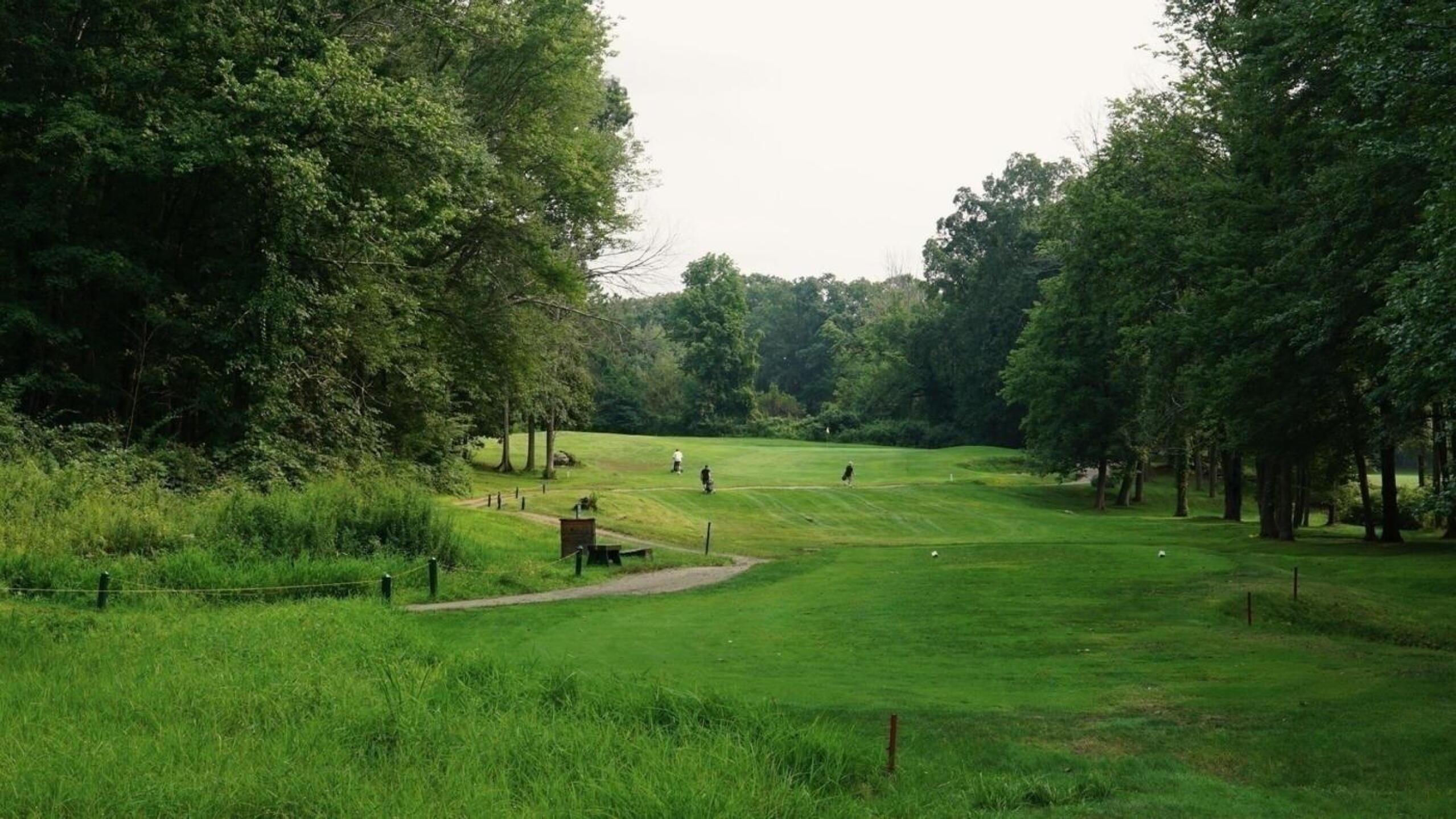 It’s an uphill walk to the green at hole eight, a difficult par-3 with a strongly pitched putting surface. (Photo submitted by AptlyLinked on 08/21/2024)