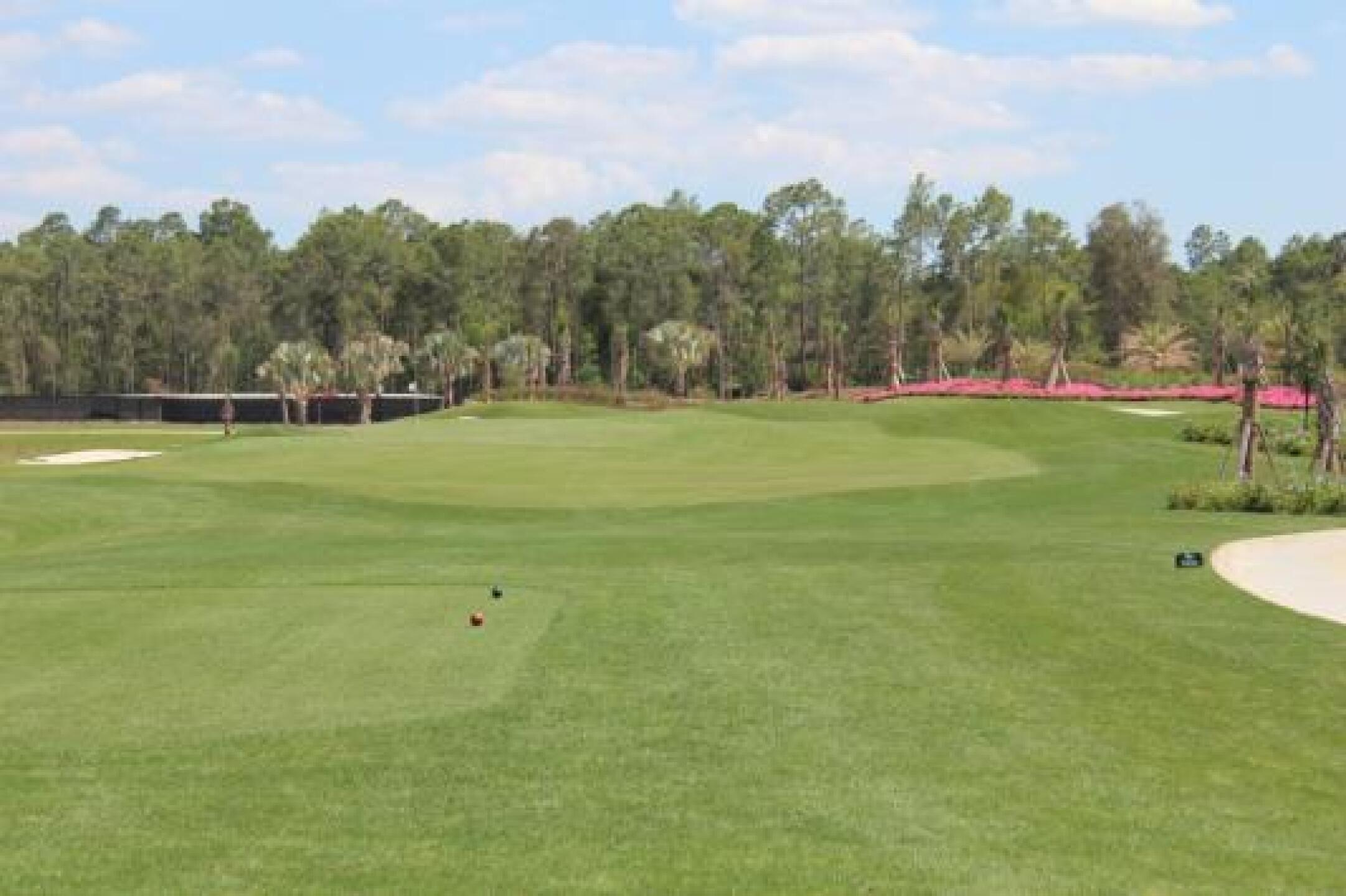 (Photo submitted by null on 05/09/2014)