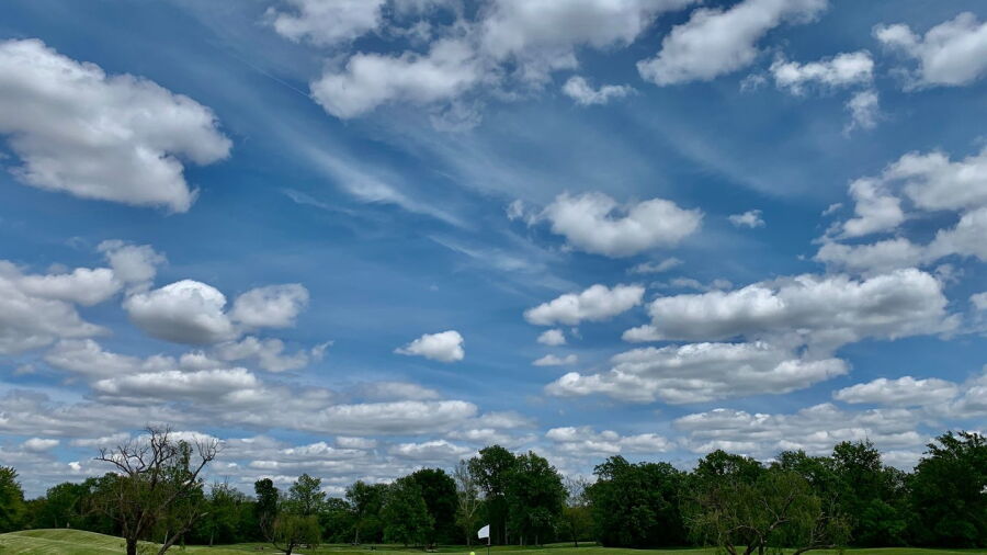 St. Peters GC: #11