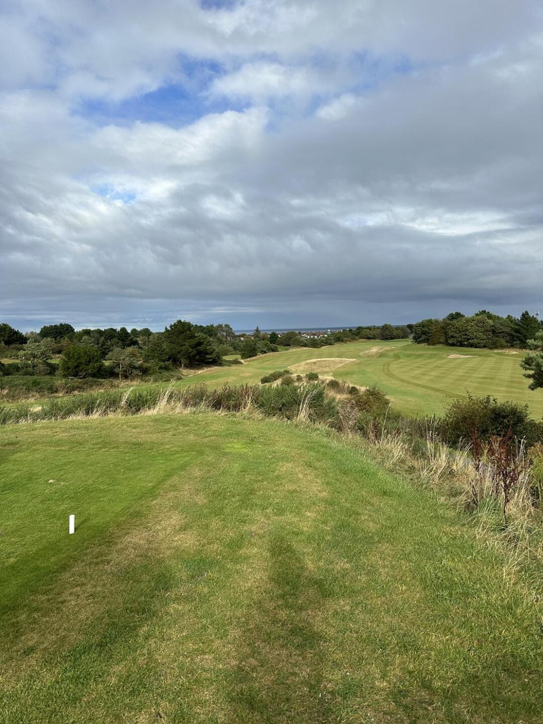 (Photo submitted by u314163123710 on 09/16/2024)