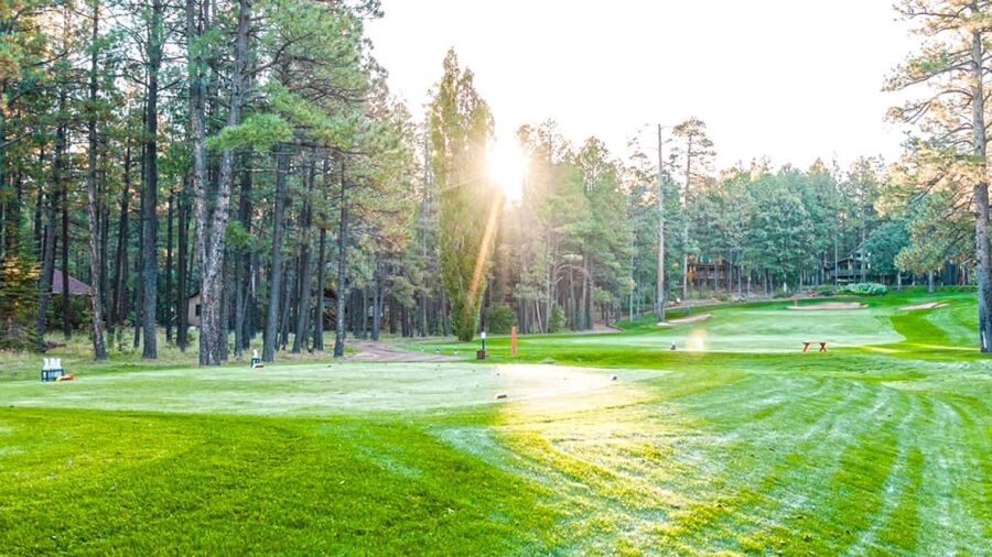 Pinetop CC
