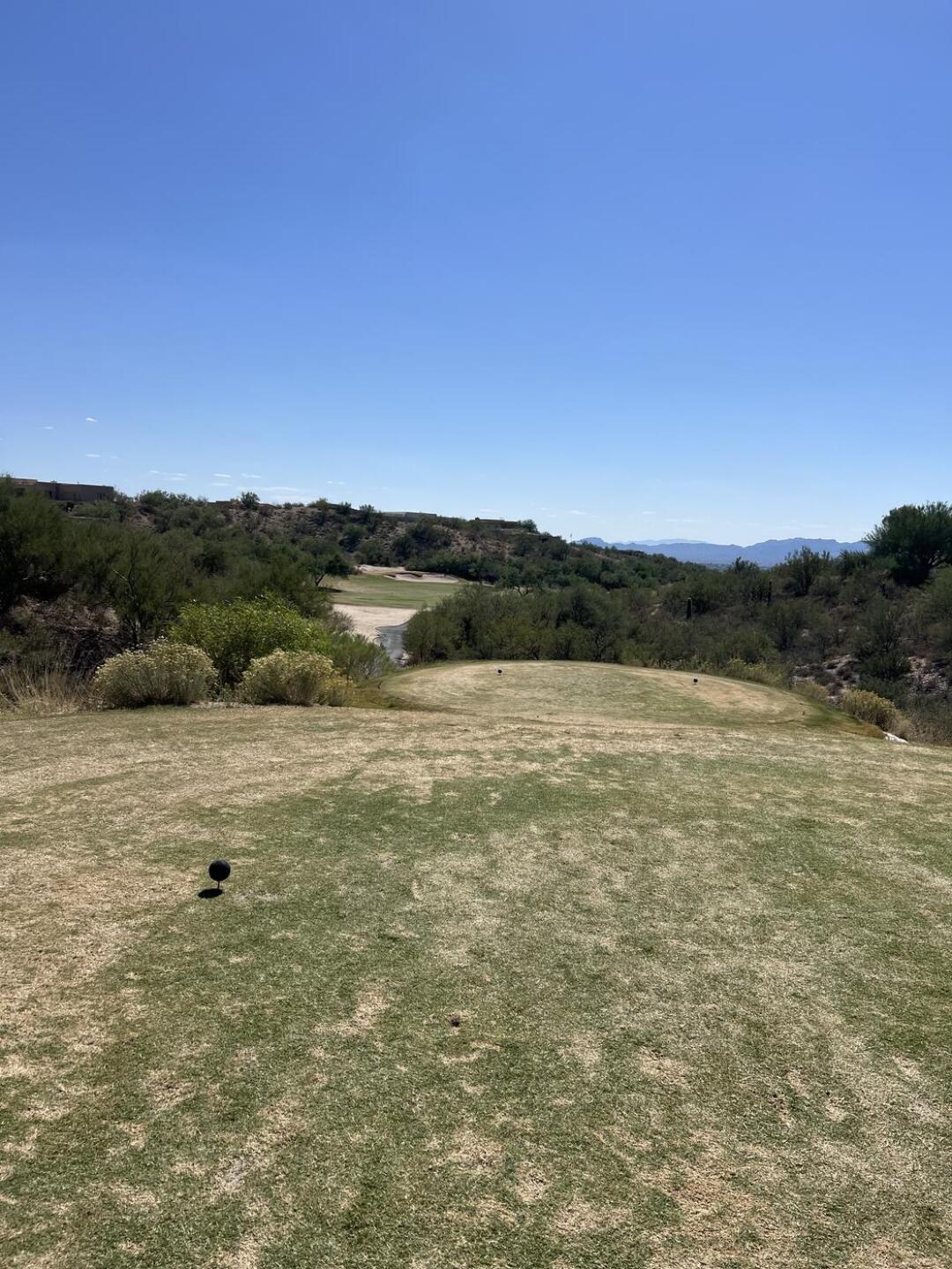 Yellow and dry. (Photo submitted by katyescpa on 10/07/2024)