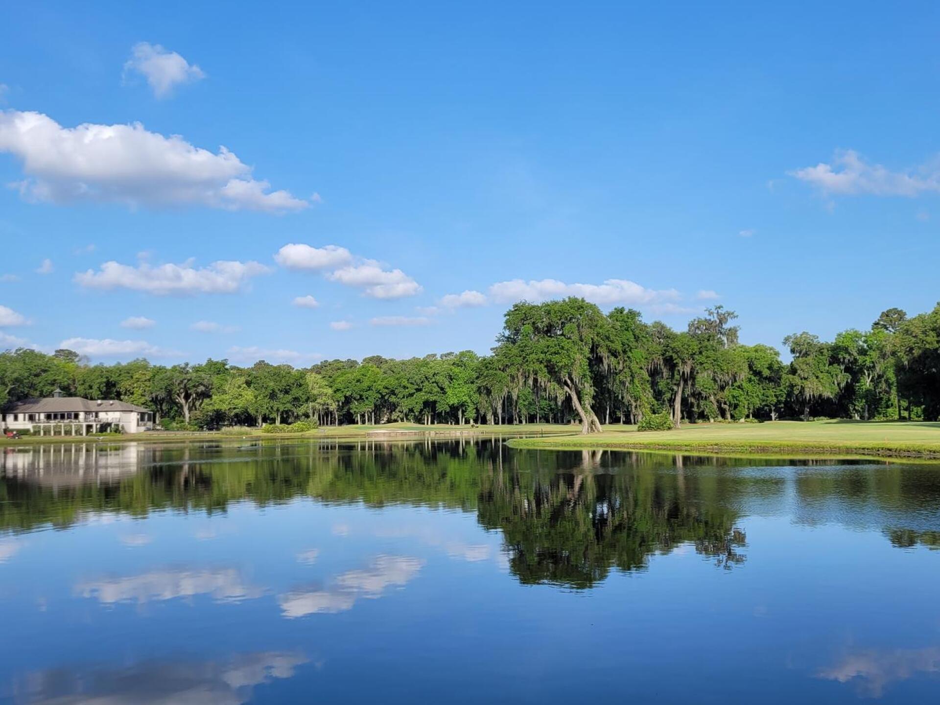 (Photo submitted by tiburonazo on 04/29/2022)