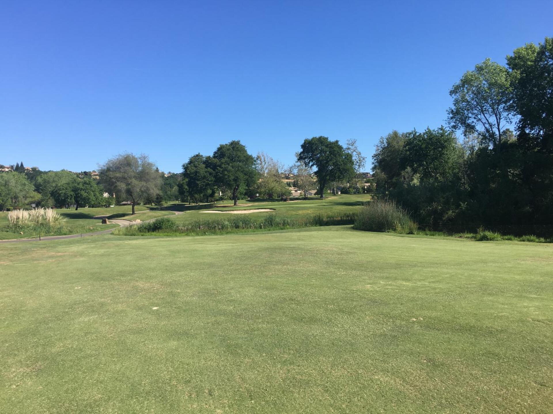 Approach on #2. Do NOT go long. (Photo submitted by Calnative02 on 05/01/2019)