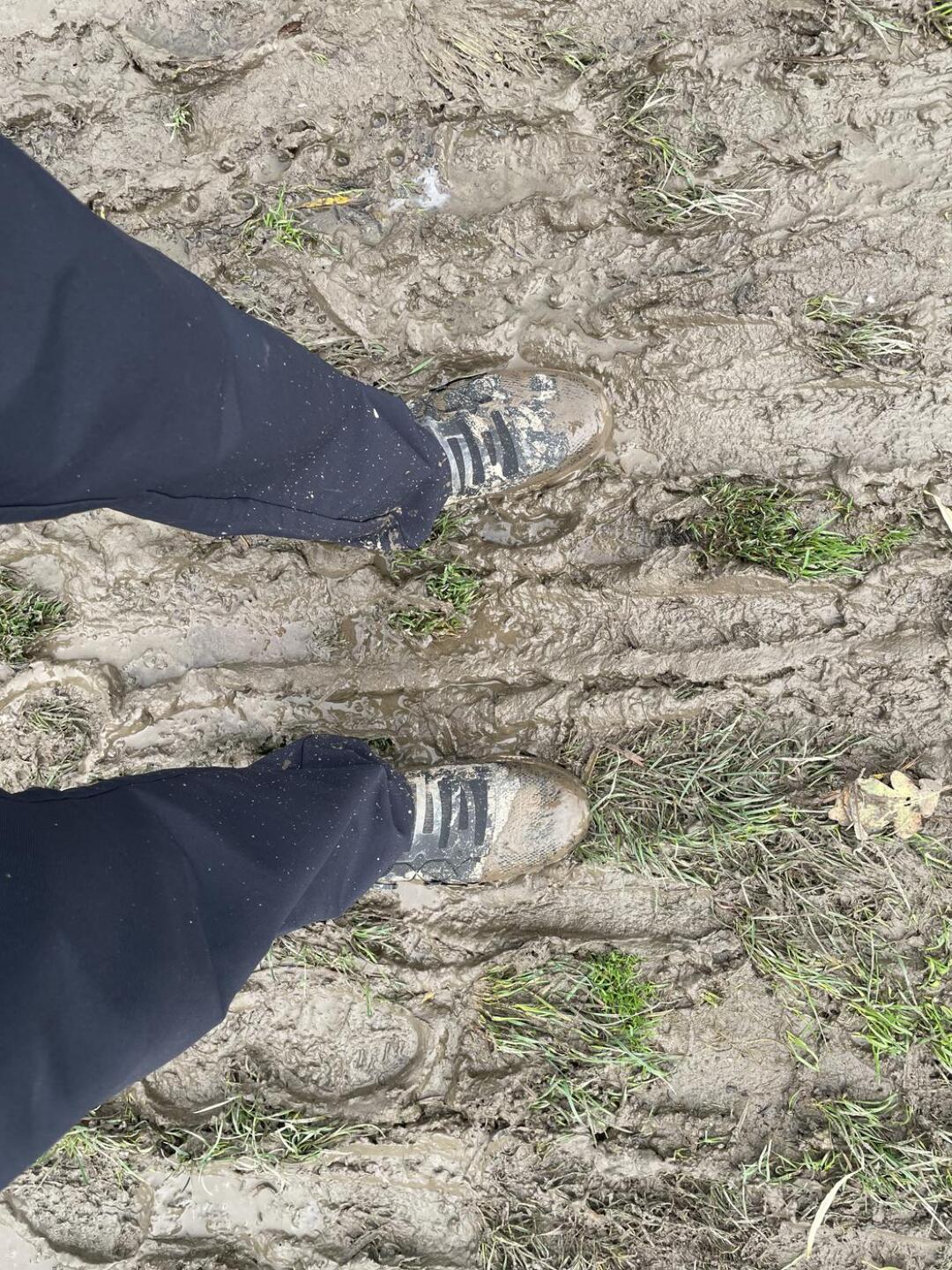 (Photo submitted by t1764288905 on 11/21/2023)