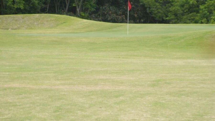 Ruby GC