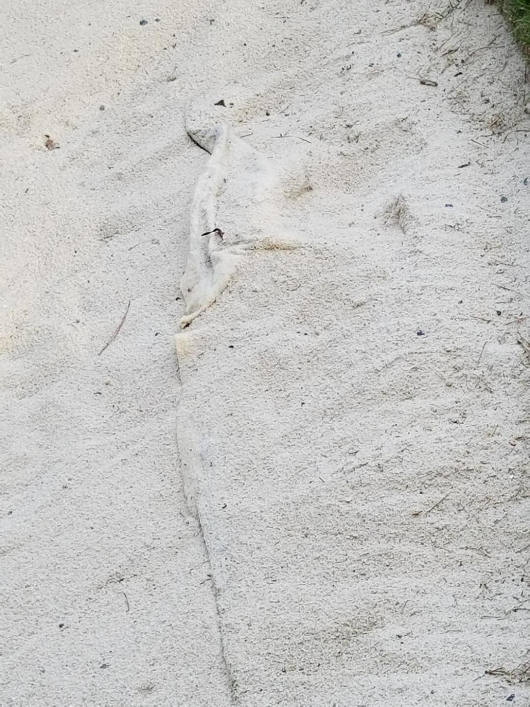 liners out of every bunker seemingly (Photo submitted by u3554789 on 09/11/2017)
