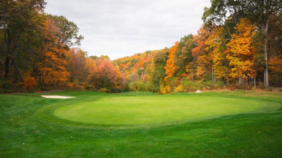Richter Park GC: #13