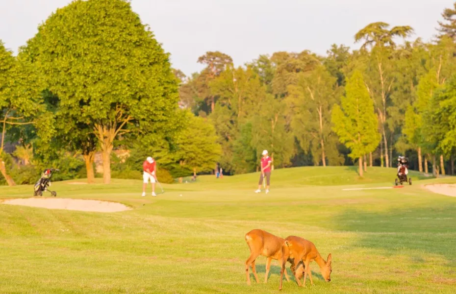 Yvelines GC - Les Tilleuls