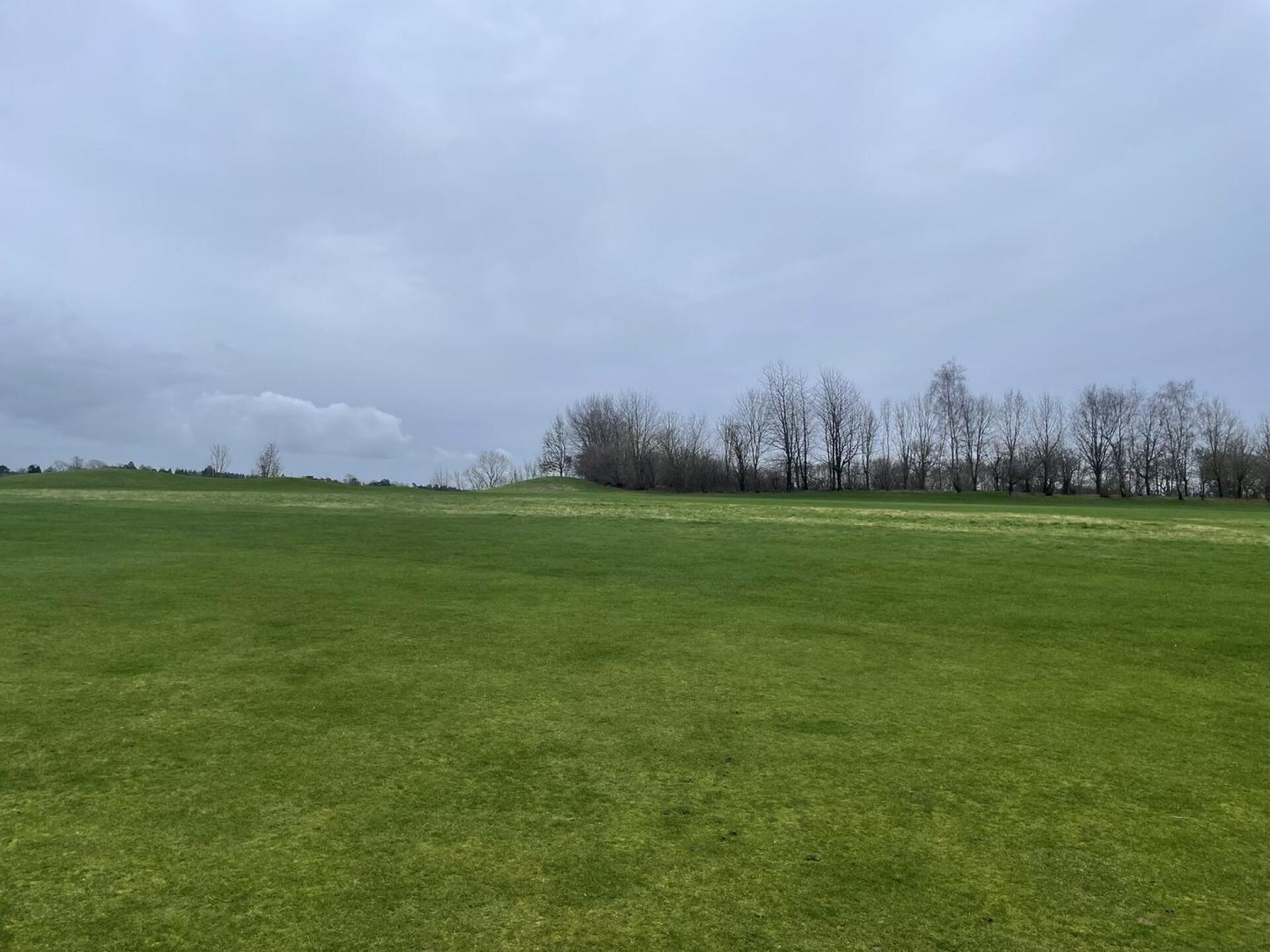 (Photo submitted by vGpXNNTEs1tqD5pNLmTr on 02/12/2024)