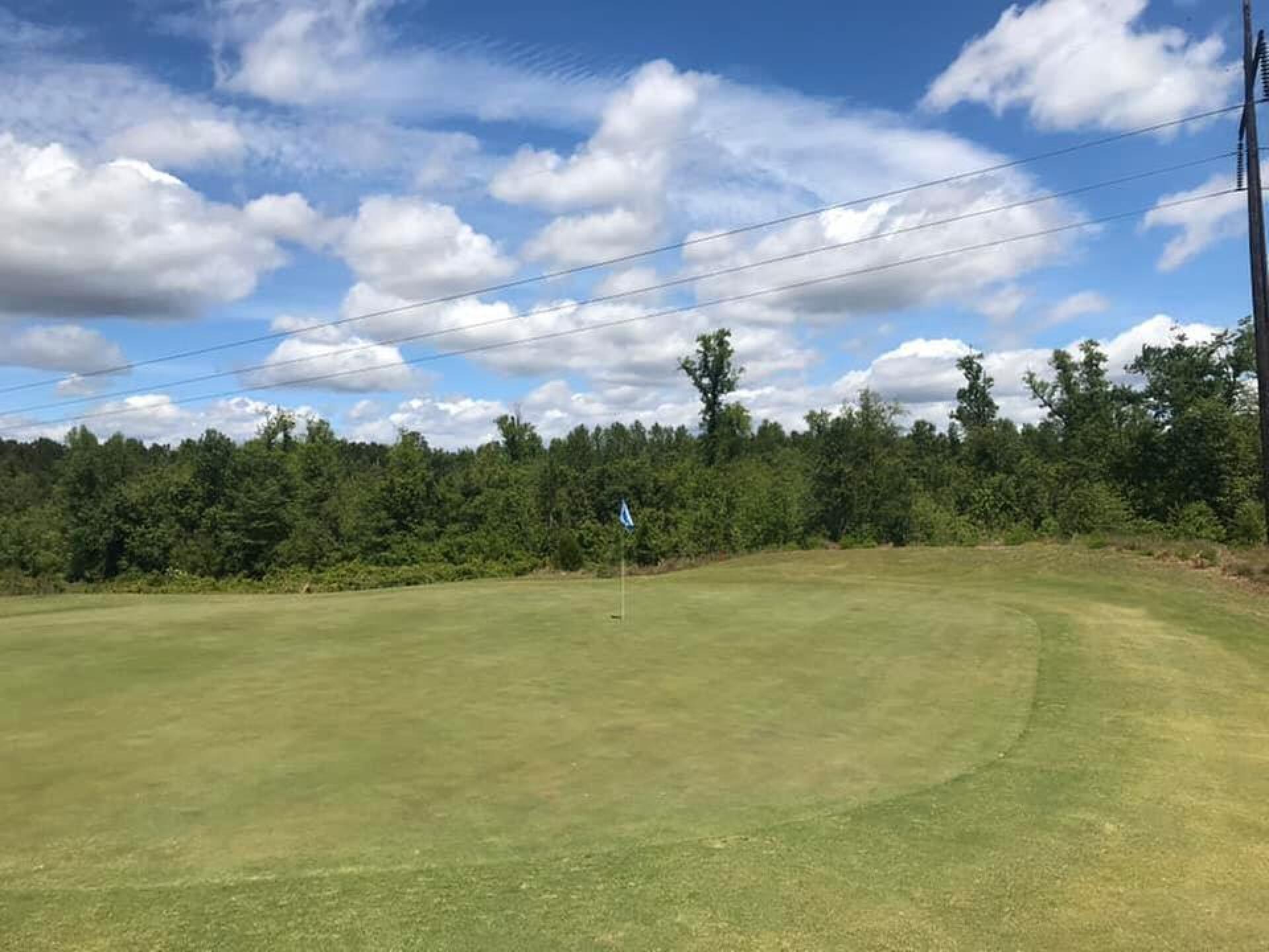 Green of a Par 5 (Photo submitted by Dave9661794 on 05/01/2020)