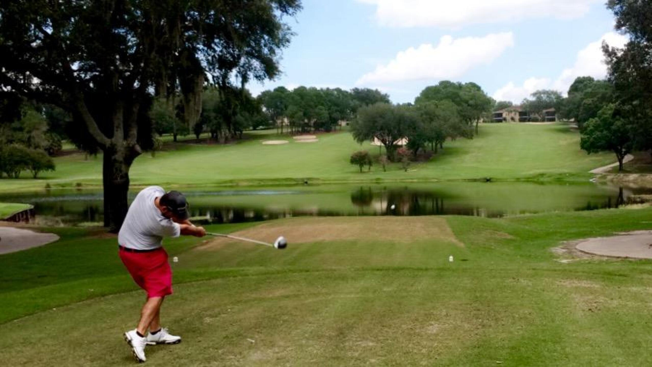 (Photo submitted by NickTaft on 09/12/2016)