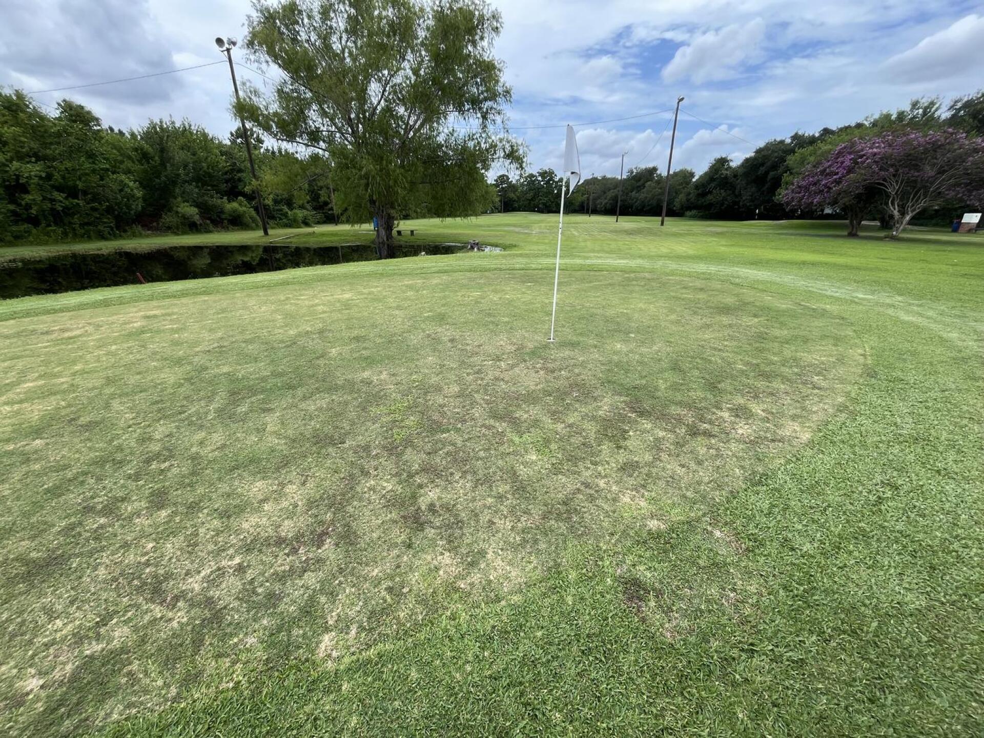 (Photo submitted by gn24823717 on 07/04/2025)