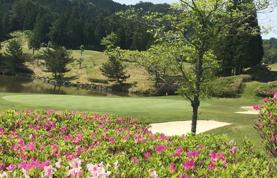 Medallion Belgravia Resort