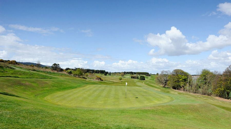 Carrickmines GC: #8