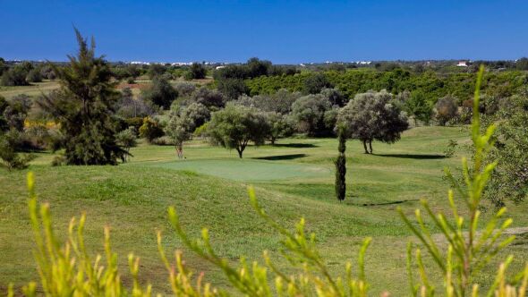 Colina Verde GCC
