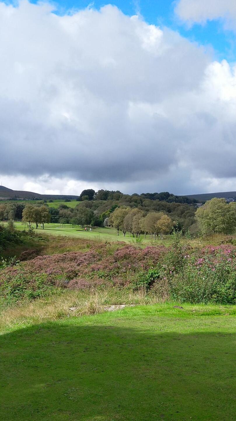 (Photo submitted by t1824585024 on 09/07/2020)