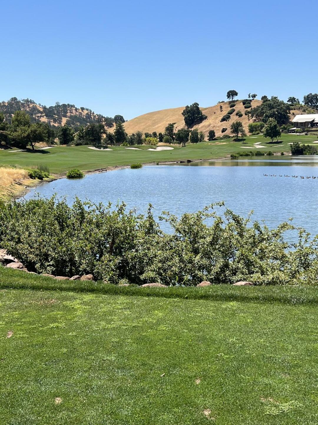 (Photo submitted by Rgordon8 on 07/12/2023)