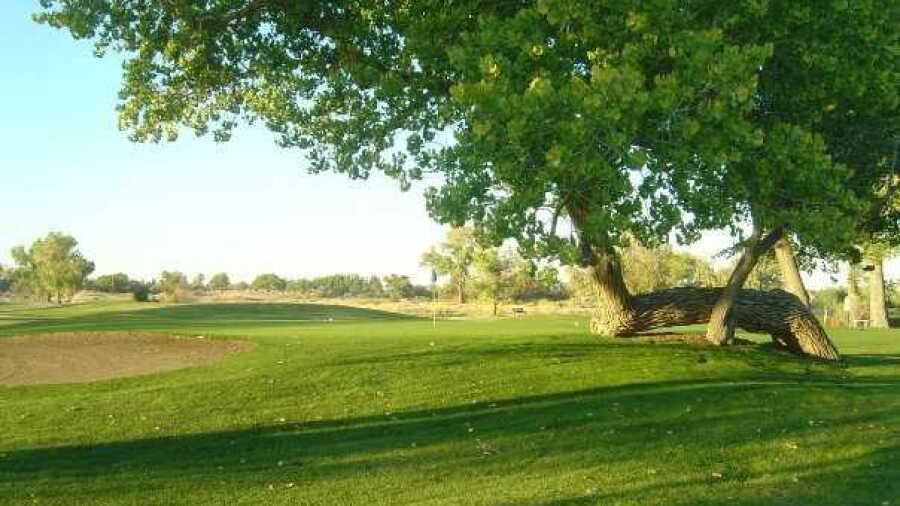 Fallon GC