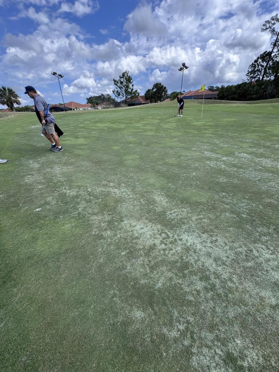 (Photo submitted by AlexDelaHoz on 03/17/2026)