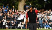 Tiger Passes on the Houston Open