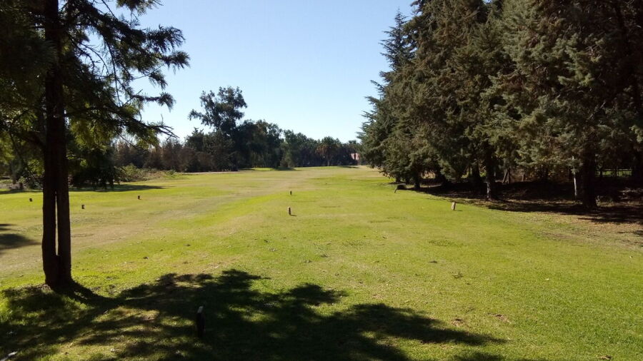 Las Palmas GC: #9