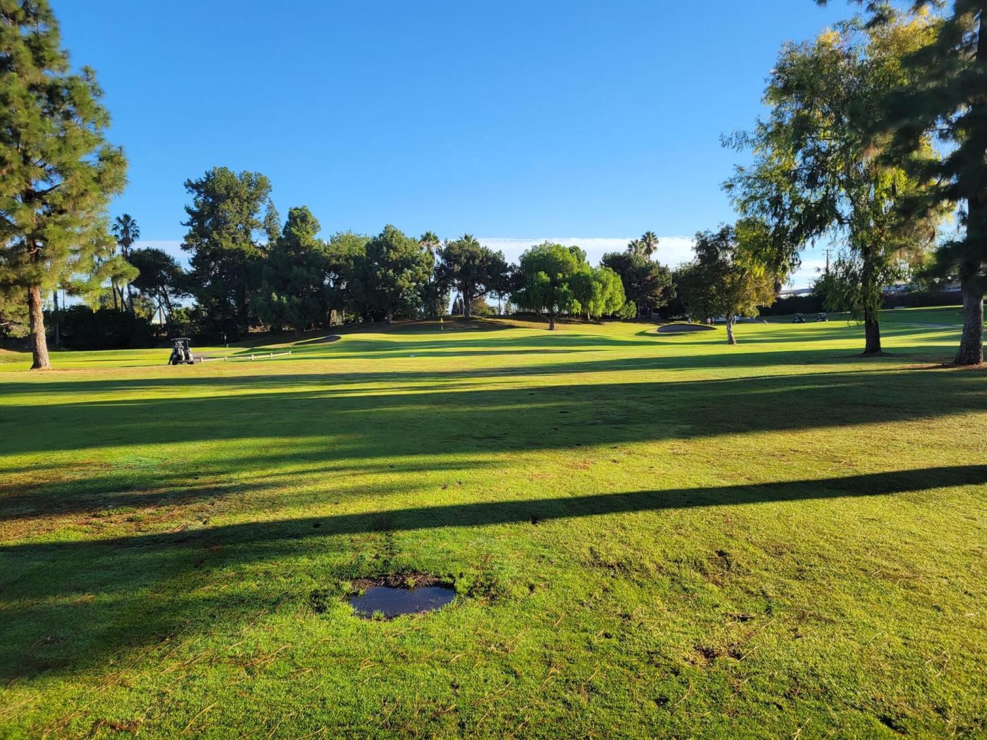 (Photo submitted by Akua on 10/17/2021)