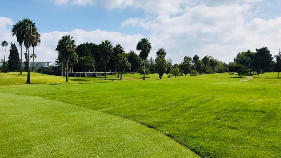 Alamo CC