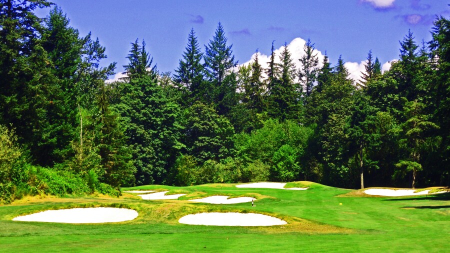 Druids Glen Golf Club - No. 14