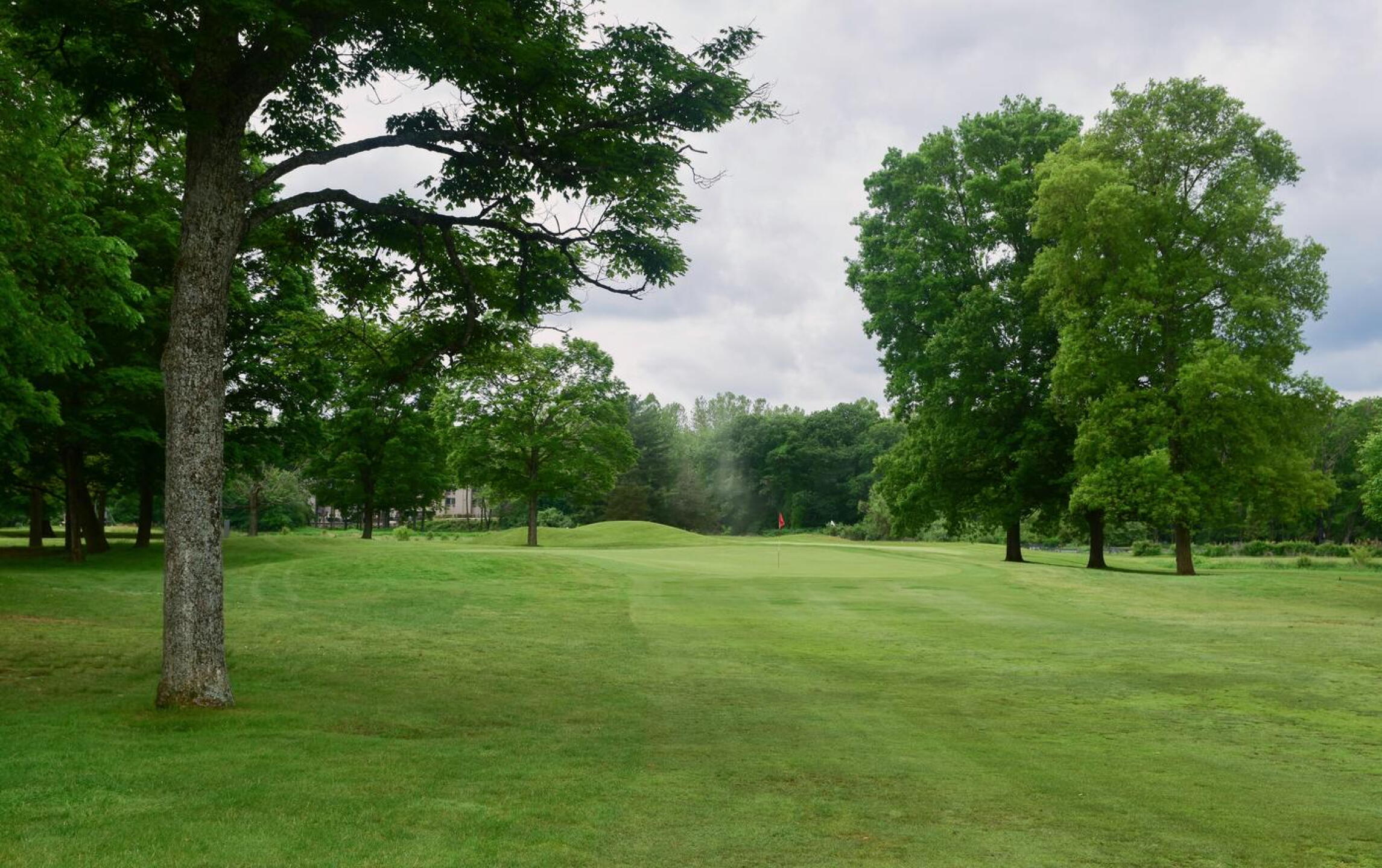 The fourth: A large tree guards the fairway’s left side at the par-4/5 golf hole. (Photo submitted by AptlyLinked on 06/01/2025)