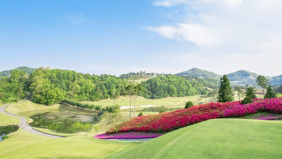 Baekje CC