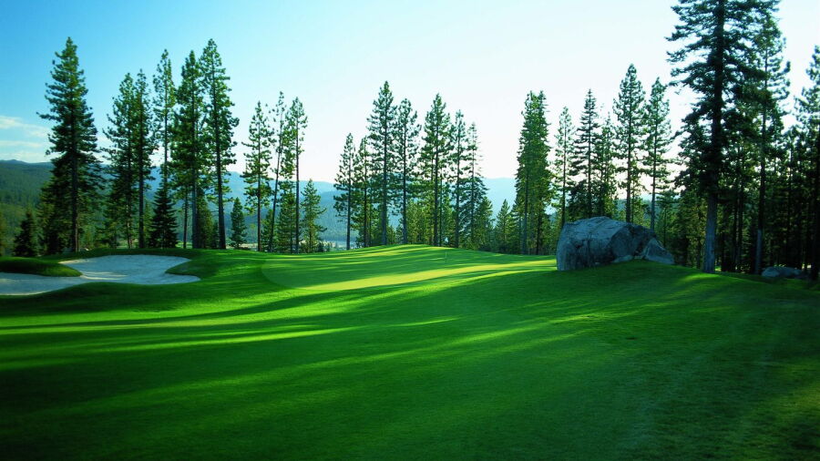 Coyote Moon GC: #7