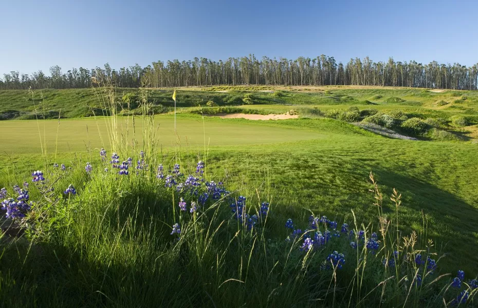 Monarch Dunes GC - Challenge: #11