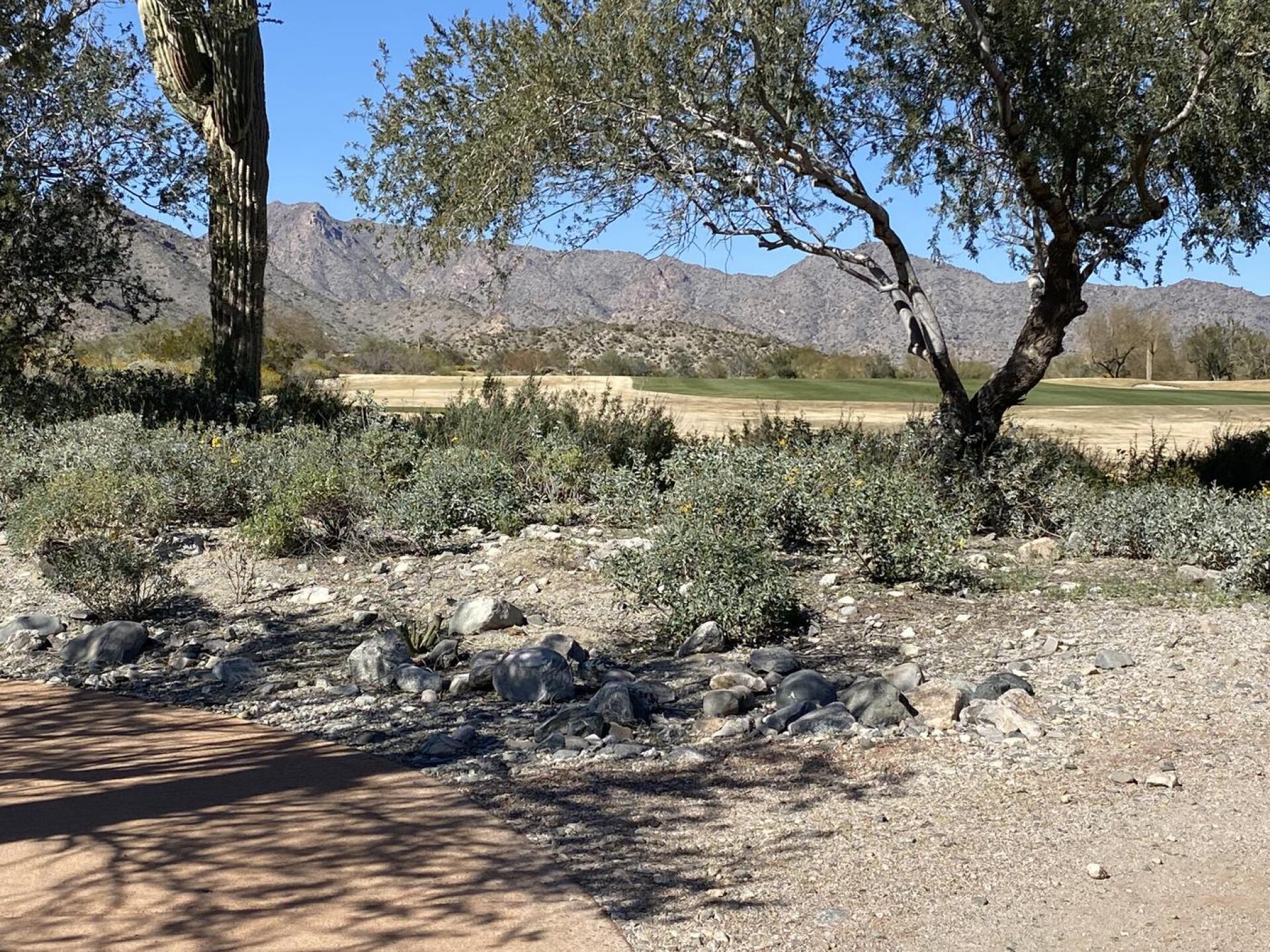 Gorgeous views (Photo submitted by pegfeltner on 02/18/2023)