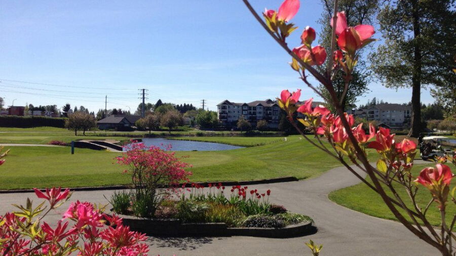 Meadow Gardens GC