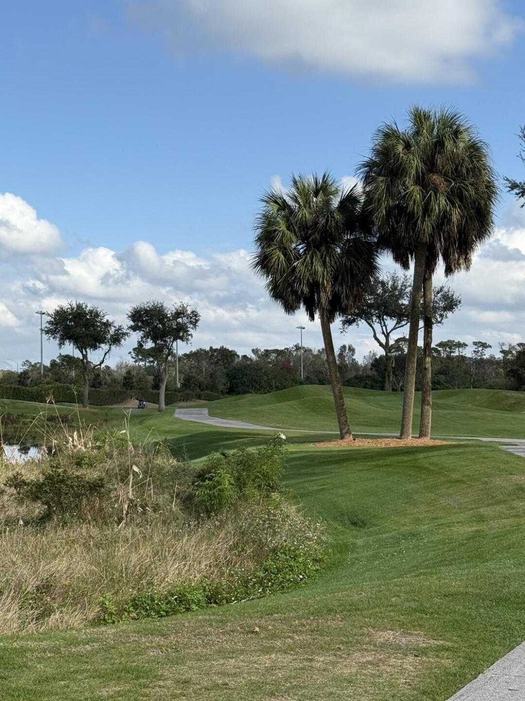 (Photo submitted by u000001597260 on 01/05/2026)