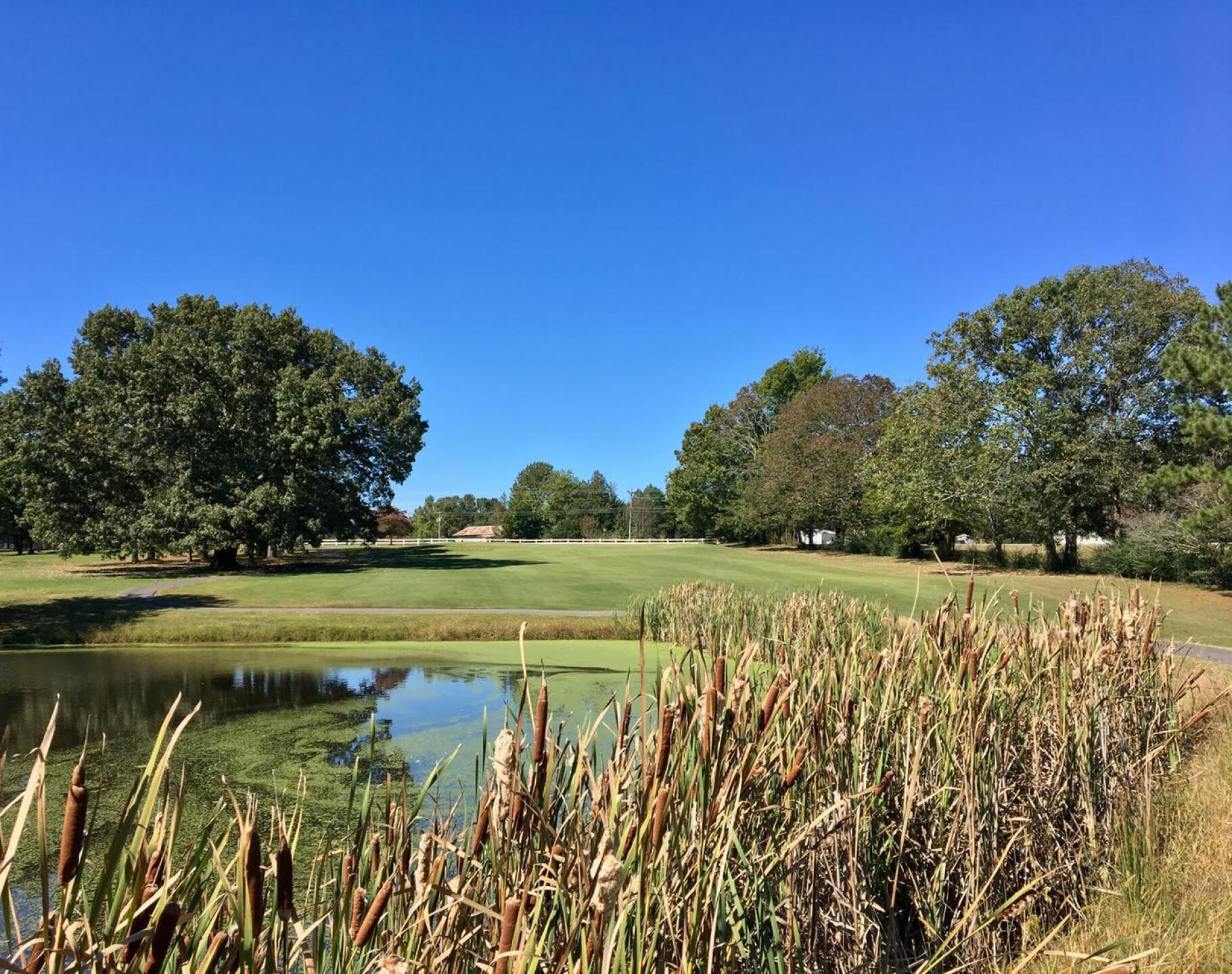 Par-4 second hole approach view (Photo submitted by BrandonWebb on 10/05/2017)