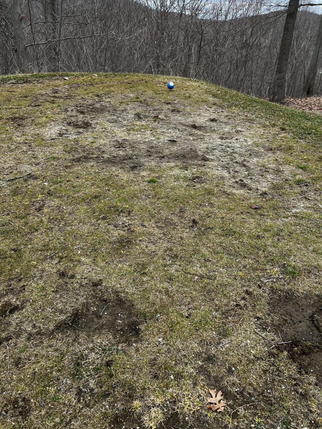 (Photo submitted by u1732467322 on 03/29/2023)