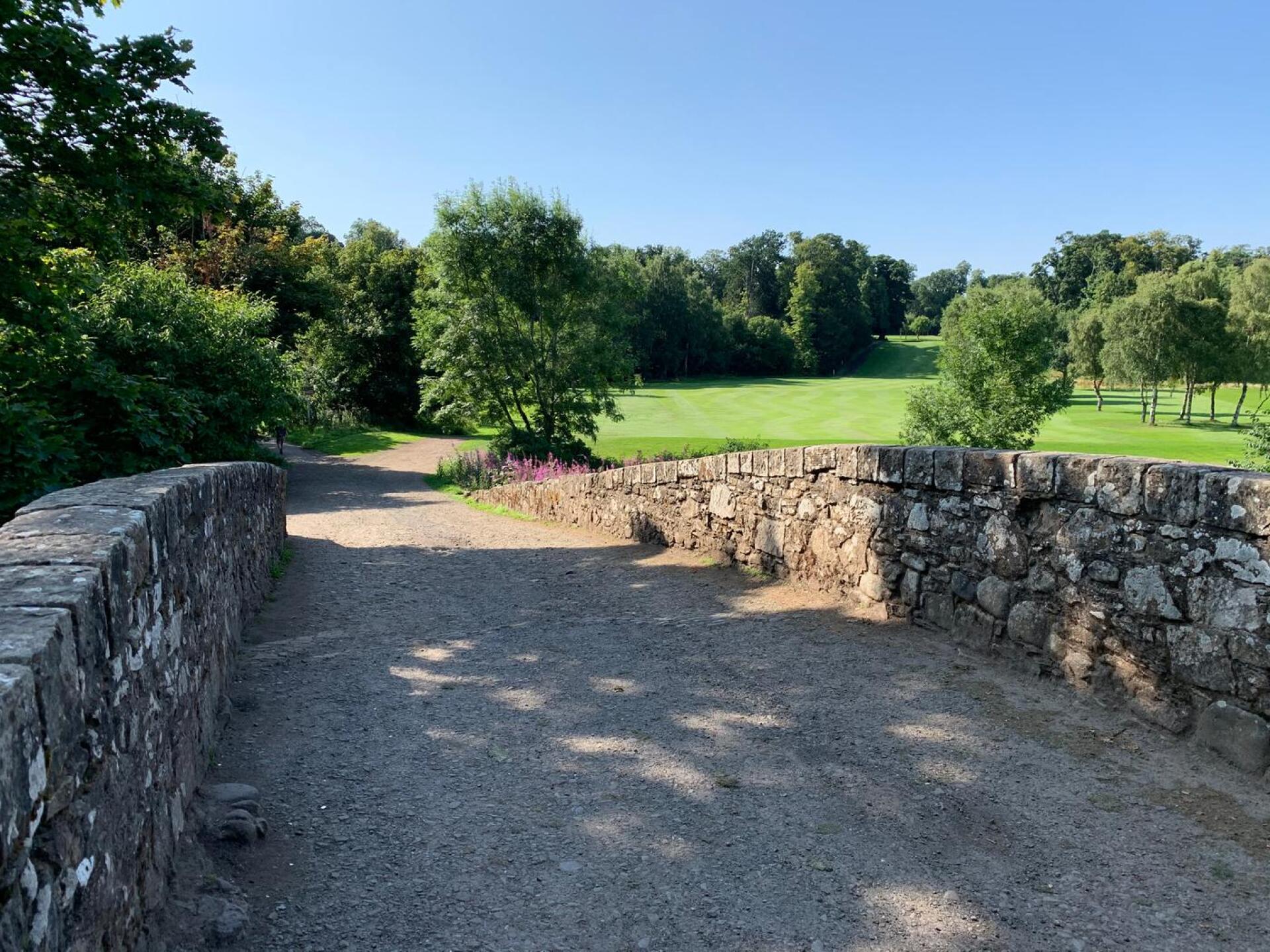 (Photo submitted by Standrew67 on 08/14/2020)