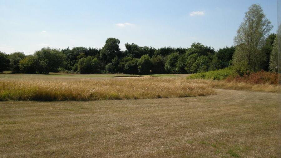 Rough at Fairlop Waters 